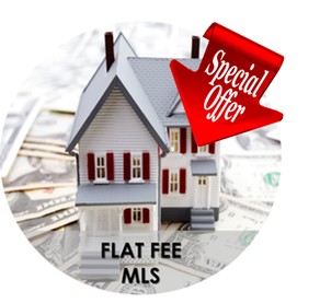 Buyers Vantage Discount Real Estate Services - Flat Fee MLS